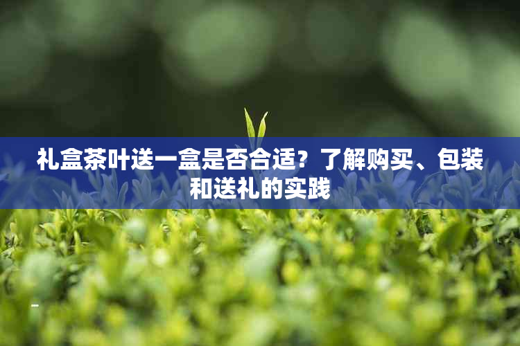 礼盒茶叶送一盒是否合适？了解购买、包装和送礼的实践