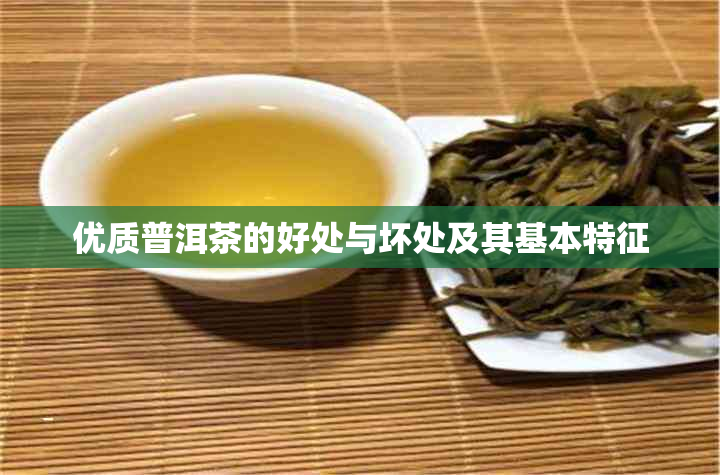 优质普洱茶的好处与坏处及其基本特征