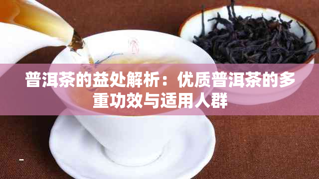 普洱茶的益处解析：优质普洱茶的多重功效与适用人群