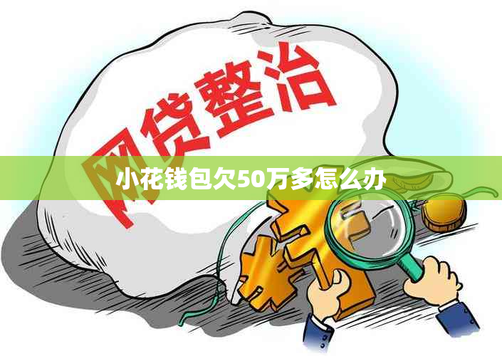 小花钱包欠50万多怎么办