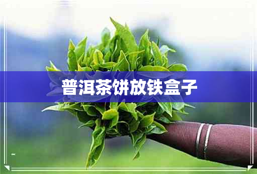 普洱茶饼放铁盒子