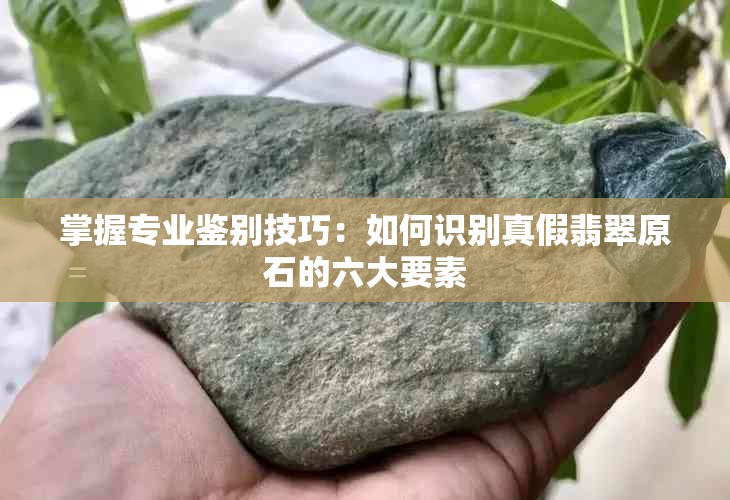 掌握专业鉴别技巧：如何识别真假翡翠原石的六大要素