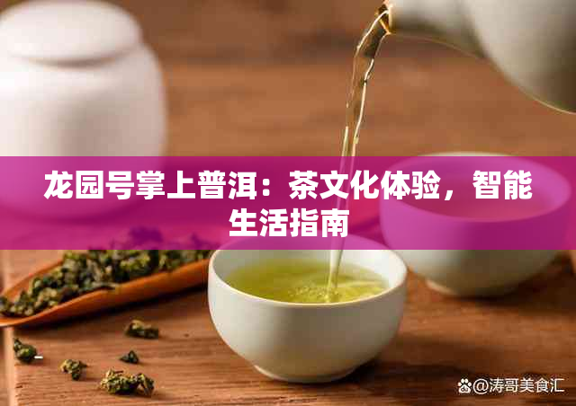 龙园号掌上普洱：茶文化体验，智能生活指南