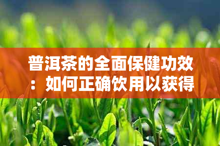 普洱茶的全面保健功效：如何正确饮用以获得效果