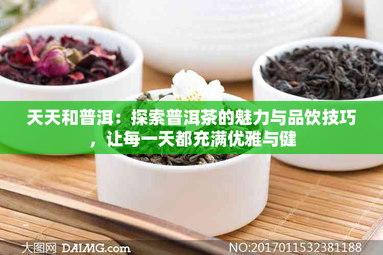 天天和普洱：探索普洱茶的魅力与品饮技巧，让每一天都充满优雅与健