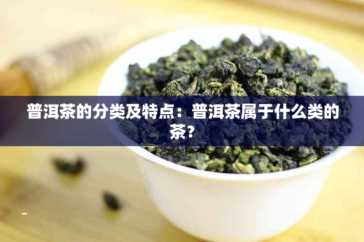 普洱茶的分类及特点：普洱茶属于什么类的茶？