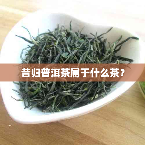 昔归普洱茶属于什么茶？