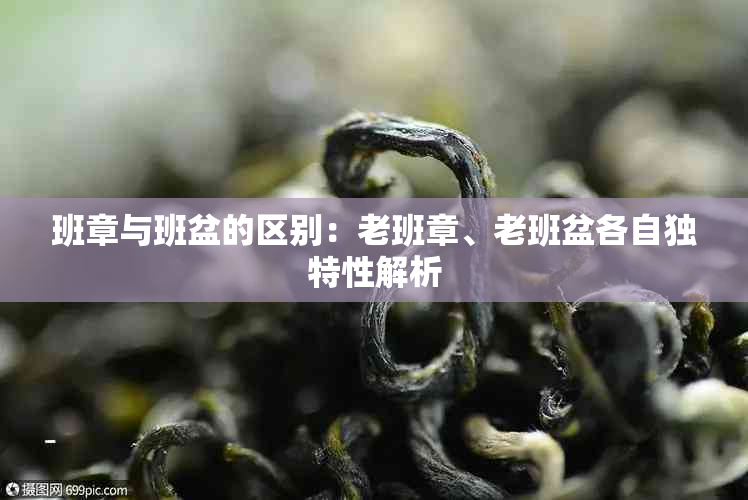 班章与班盆的区别：老班章、老班盆各自独特性解析