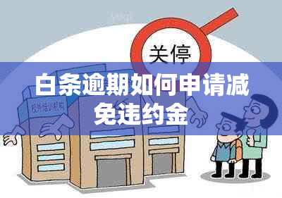 白条逾期如何申请减免违约金