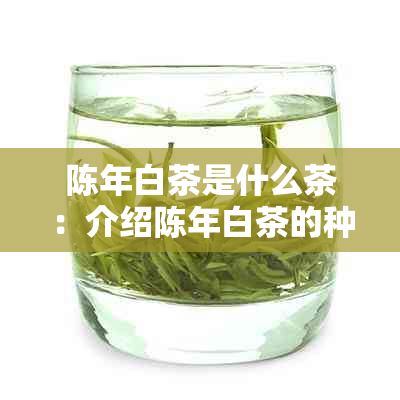 陈年白茶是什么茶：介绍陈年白茶的种类、功效及品质。