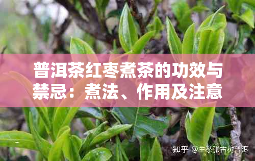 普洱茶红枣煮茶的功效与禁忌：煮法、作用及注意事项