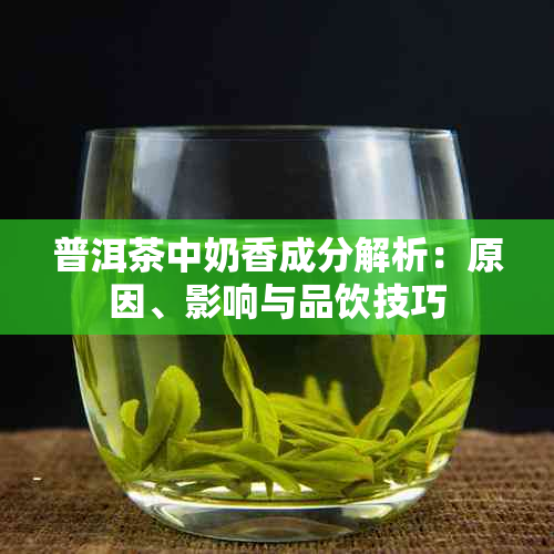 普洱茶中奶香成分解析：原因、影响与品饮技巧