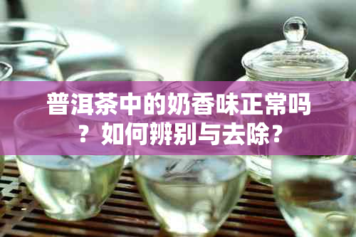 普洱茶中的奶香味正常吗？如何辨别与去除？