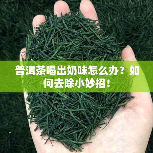 普洱茶喝出奶味怎么办？如何去除小妙招！