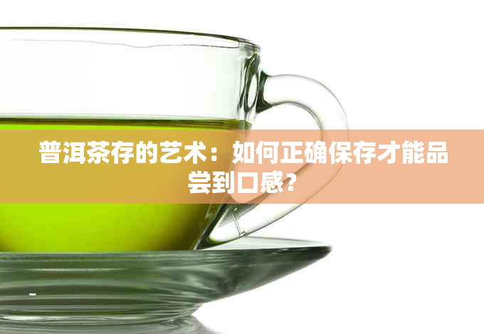 普洱茶存的艺术：如何正确保存才能品尝到口感？