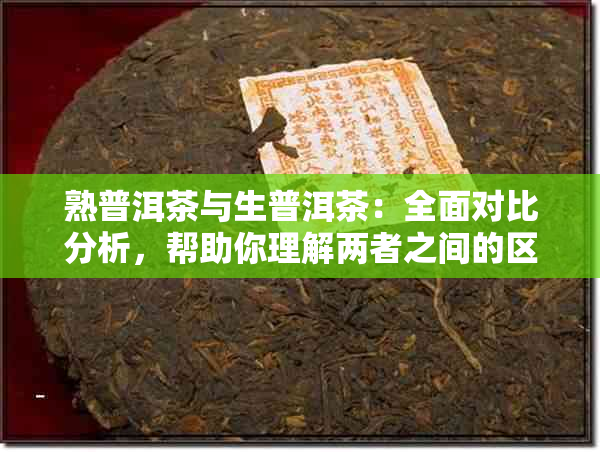 熟普洱茶与生普洱茶：全面对比分析，帮助你理解两者之间的区别与特点