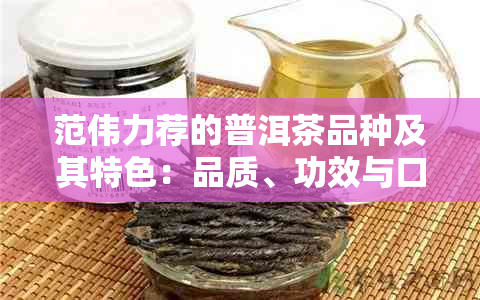 范伟力荐的普洱茶品种及其特色：品质、功效与口感全方位解析