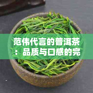 范伟代言的普洱茶：品质与口感的完美结合，了解如何选择和品鉴