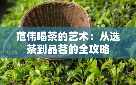 范伟喝茶的艺术：从选茶到品茗的全攻略