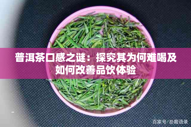 普洱茶口感之谜：探究其为何难喝及如何改善品饮体验