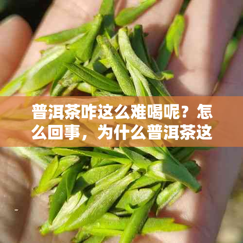 普洱茶咋这么难喝呢？怎么回事，为什么普洱茶这么难喝？