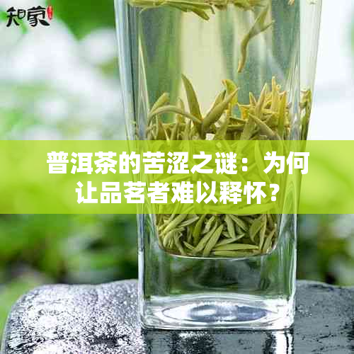 普洱茶的苦涩之谜：为何让品茗者难以释怀？