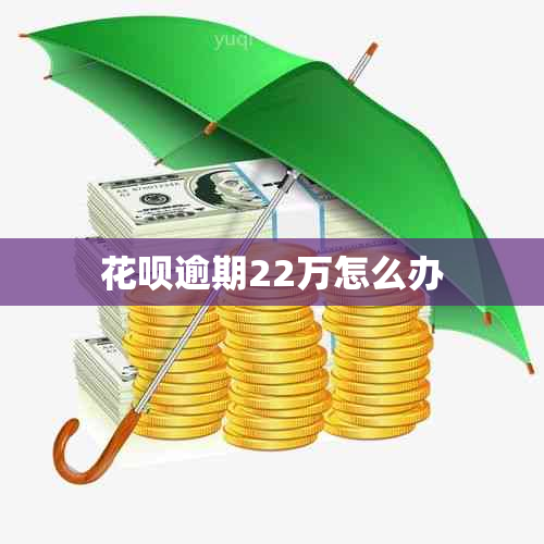 花呗逾期22万怎么办