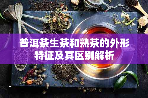 普洱茶生茶和熟茶的外形特征及其区别解析