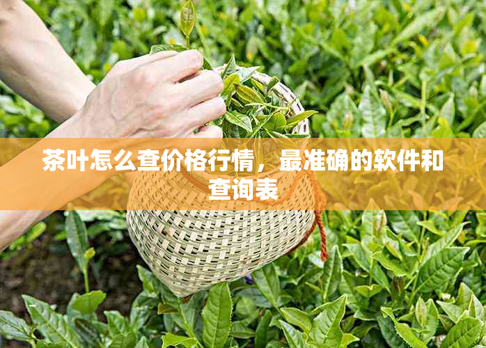 茶叶怎么查价格行情，最准确的软件和查询表