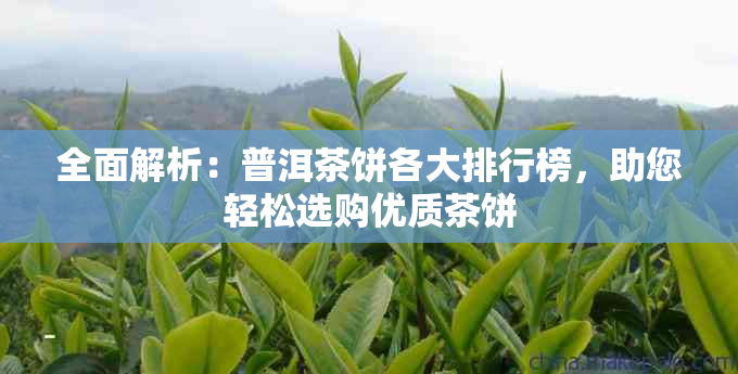 全面解析：普洱茶饼各大排行榜，助您轻松选购优质茶饼