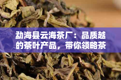 勐海县云海茶厂：品质越的茶叶产品，带你领略茶文化的魅力与风味