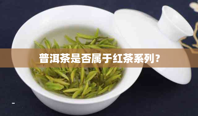 普洱茶是否属于红茶系列？