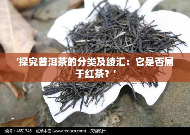 '探究普洱茶的分类及绫汇：它是否属于红茶？'