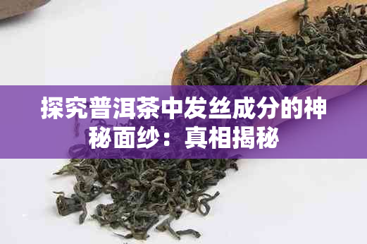 探究普洱茶中发丝成分的神秘面纱：真相揭秘