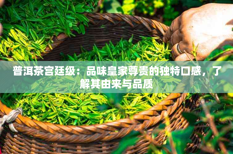 普洱茶宫廷级：品味皇家尊贵的独特口感，了解其由来与品质