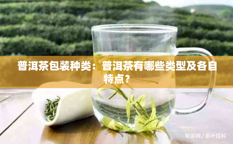 普洱茶包装种类：普洱茶有哪些类型及各自特点？