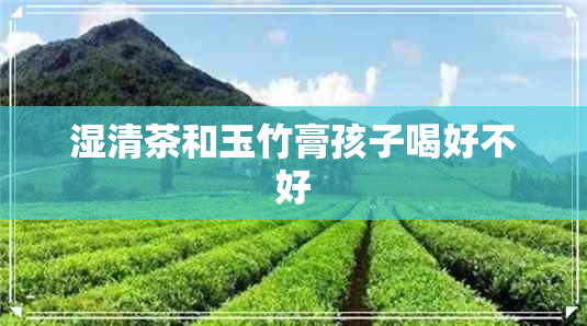 湿清茶和玉竹膏孩子喝好不好