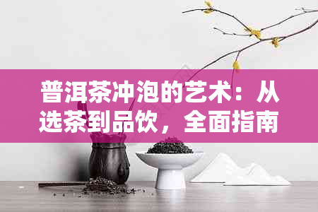 普洱茶冲泡的艺术：从选茶到品饮，全面指南助你喝出好味道