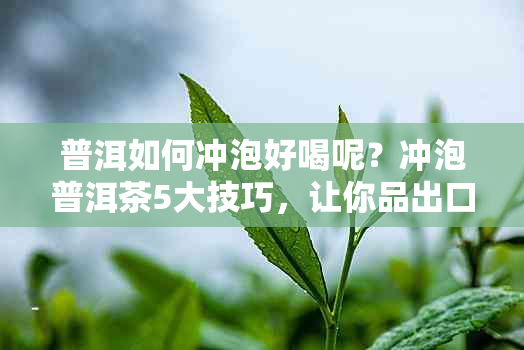 普洱如何冲泡好喝呢？冲泡普洱茶5大技巧，让你品出口感！