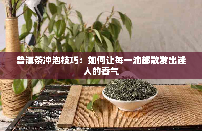 普洱茶冲泡技巧：如何让每一滴都散发出迷人的香气