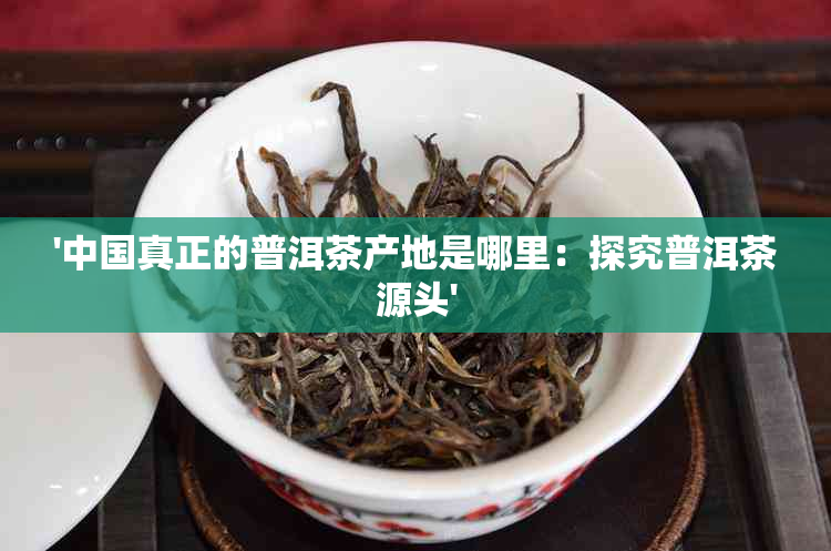 '中国真正的普洱茶产地是哪里：探究普洱茶源头'