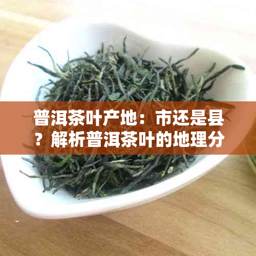 普洱茶叶产地：市还是县？解析普洱茶叶的地理分布及其对品质的影响