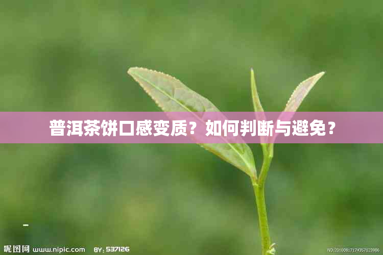 普洱茶饼口感变质？如何判断与避免？