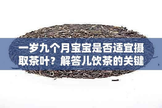 一岁九个月宝宝是否适宜摄取茶叶？解答儿饮茶的关键时期和注意事项