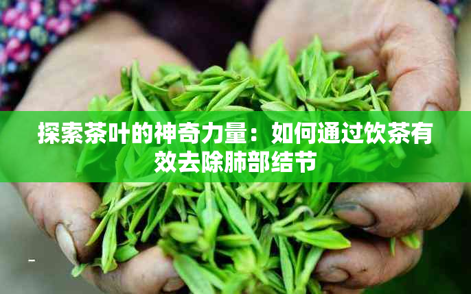 探索茶叶的神奇力量：如何通过饮茶有效去除肺部结节