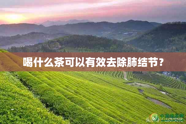 喝什么茶可以有效去除肺结节？