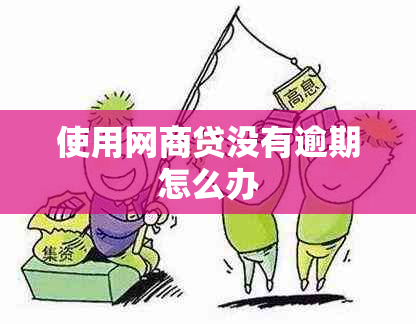 使用网商贷没有逾期怎么办