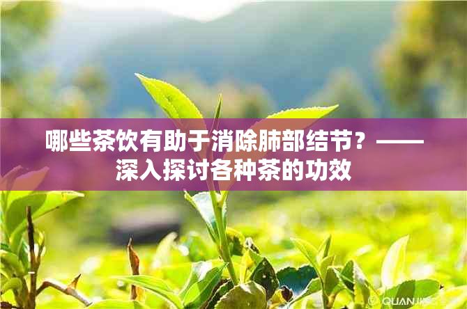 哪些茶饮有助于消除肺部结节？——深入探讨各种茶的功效