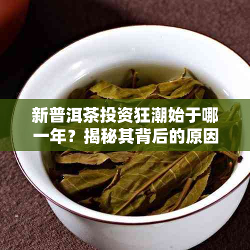 新普洱茶投资狂潮始于哪一年？揭秘其背后的原因与影响