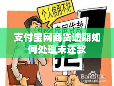 支付宝网商贷逾期如何处理未还款